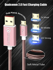 引領(lǐng)科技潮流，專業(yè)計(jì)算機(jī)軟硬件技術(shù)開(kāi)發(fā)解決方案